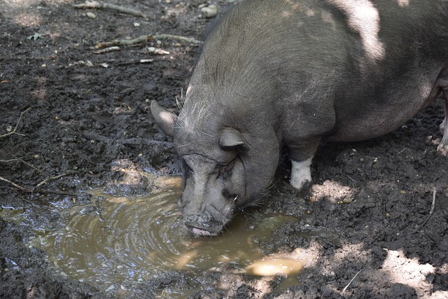 大问题在于 大问题在于