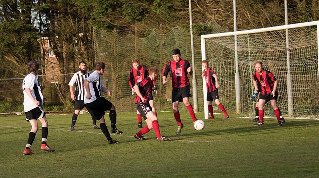 共同应对自 共同应对自