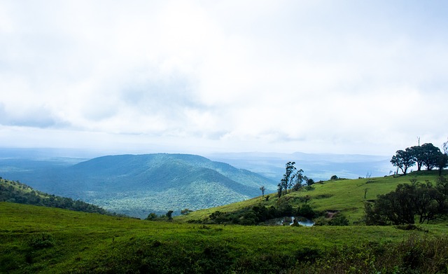 这种从上到 这种从上到