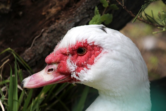 更是一次跨 更是一次跨