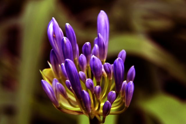 张常宁式 张常宁式