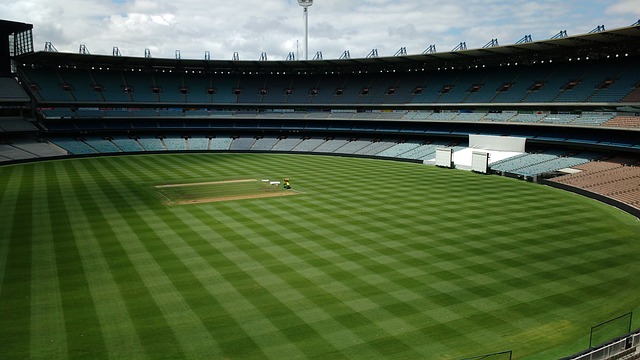 案例分析 案例分析