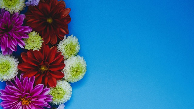 为葡萄牙赢 为葡萄牙赢